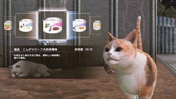 猫の缶詰